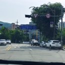 운중동보행자도로 | 야탑운전연수 엔씨 백화점 주차장 수업