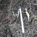 영지농장 이미지