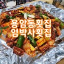 엄박사횟집