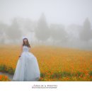 신소양체육공원 이미지