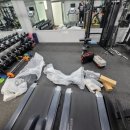 다윗 피트니스 이미지