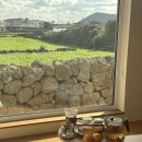 하도울 | [후기] 제주도 숙소 | 하도울 | 나울