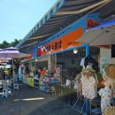 주상절리 관광안내소 | 제주도 서귀포가볼만한곳 대포주상절리 신기한 제주도 풍경