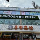 슈슈퍼피 이미지