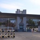 원대 노컷뉴스