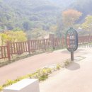 나들이숲 화장실 이미지