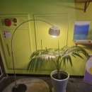 와이케이호텔 이미지