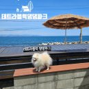 포항 오션뷰 애견카페 테트라블럭 댕댕파크 브런치카페