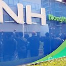 과천농협하나로마트 이미지