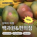 옥곡5일시장(정문) | [중국_상하이]더이튼호텔 근처 먹거리 가이드👍과일가게 백과원과 지엔빙, 편의점까지 이용 후기!