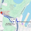 파이키앤컴퍼니(주) | 시드니 여행 1일차｜초등학생과 함께 울루물루·하버브릿지·시드니도서관·20년 전 추억의 맛 미트 파이