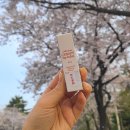 행복한온누리약국 | 약국 립밤 추천 셀로맥스 세라피립밥 건조한 입술에 고보습 충천