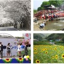 칠갑산산꽃마을 이미지