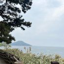 풍경이좋은집팬션 | 부안 솔섬하우스 팬션 그리고 작고 아담한 솔섬후기