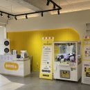 청주고양이카페아이캣유 이미지