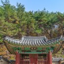옥산2리 | 경주 여행 세심대계곡 물놀이 옥산서원
