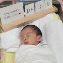 [출산기록] 송파산모건강증진센터 조리원 2주 솔직후기!
