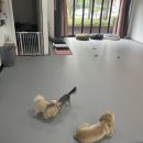 주식회사 다인 이미지