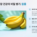바나나배터리 티스토리