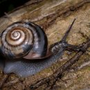 슬로우 라이프 이미지