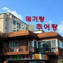 사파동251 | [창원맛집] 창원 주남저수지맛집 동읍맛집 남원골추어탕메기탕, 메기탕 진짜 맛있는곳