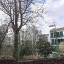 푸르미어린이집 이미지