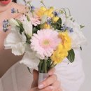 제이제이농장 이미지