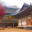 춘곡사 이미지