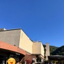 숲실의 집 | [단풍맛집] 2025 화담숲 실시간 단풍 현황/주차/근처맛집/카페/꿀팁