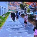 솔빛초등학교 이미지
