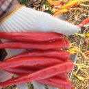 읍내로 7 이미지