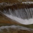 마이빌고시텔