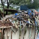 금치농장 이미지