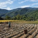 수아농장 이미지