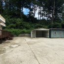 단월초교 병설유치원 이미지