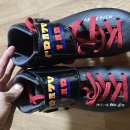 크레이지랩 이미지