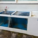 유진회집 이미지