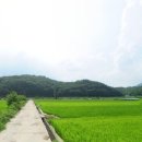 화산면611 이미지