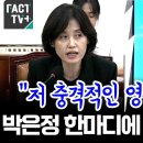 박은정 카카오 검색결과