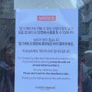 브론즈 | 📍 안국 커피브론즈 방문 후기 | 딸기케이트 웨이팅? ☕🍰
