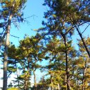 양지암등대길 이미지