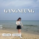 실노리 | 강릉에 새로생긴 이것 타보셨나요? 뚜벅이 당일치기여행 코스