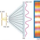 빛이나개 이미지