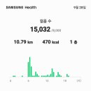 추석연휴첫날아침에 7,935보에5.8km를 걸어 누계3.000km 달성연휴첫날인오늘병준친구와뿅뿅다리 청소10.79km15,032보 이미지