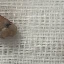 훈동물병원 이미지