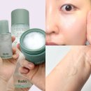 (주)두리번 | 선인장 PDRN 헉슬리 리바운싱 3종 봄에 쓰기 좋은 건성피부 기초케어