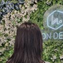 달리살롱 이미지