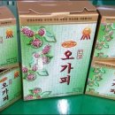 인성바이오 이미지