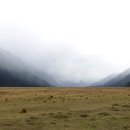 힐링섬 코스 이미지