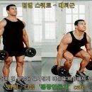 집에서 근육만들기 - 아령운동 (덤벨 스쿼트 = 대퇴근) 이미지